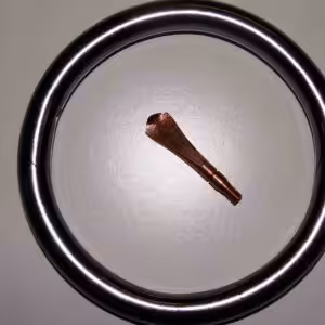 Nasenring