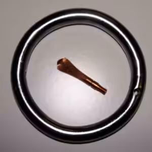 Nasenring